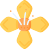 问鼎娱乐 logo